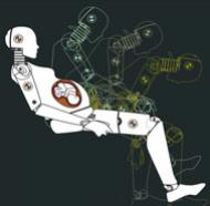 Pregnant Crash Test Dummies