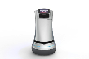 Relay robot