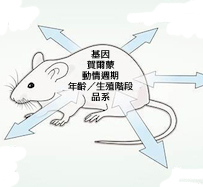 Animal Research: Sampling