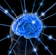 brain image