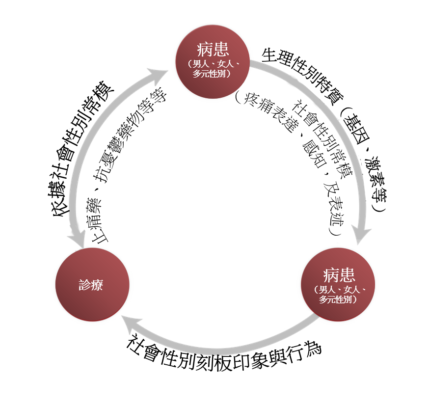 from method: how sex and gender interact, three arrows: patient, treatment and physician
