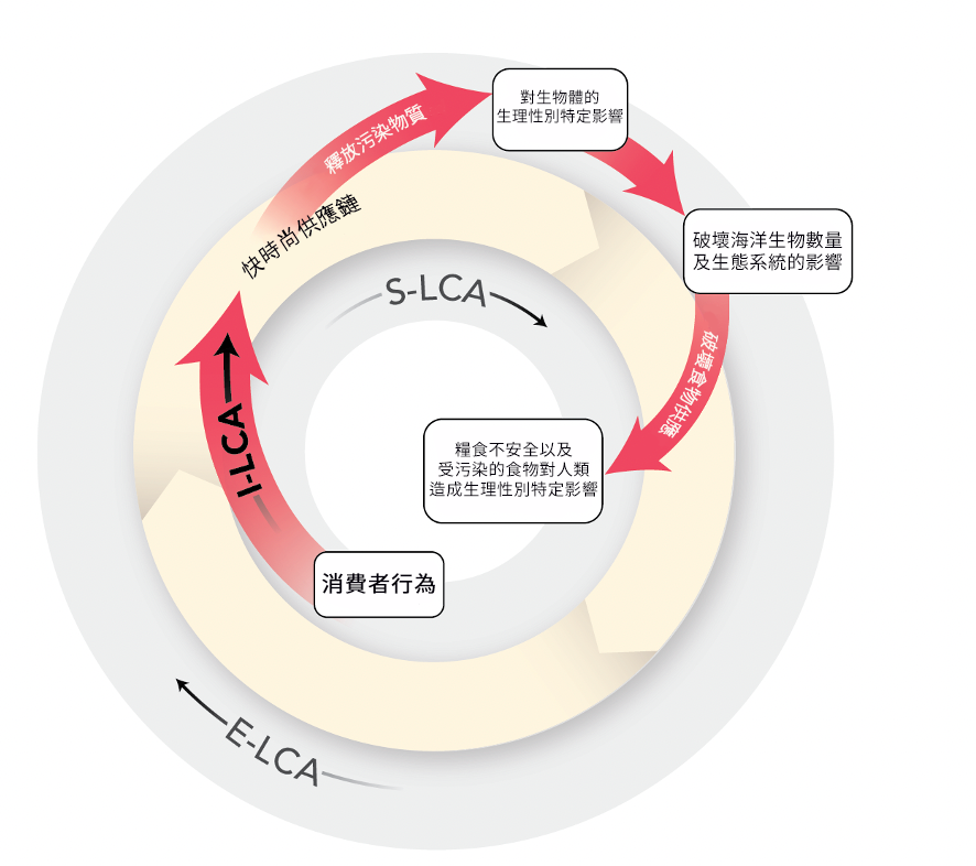 intersectional feedback loops