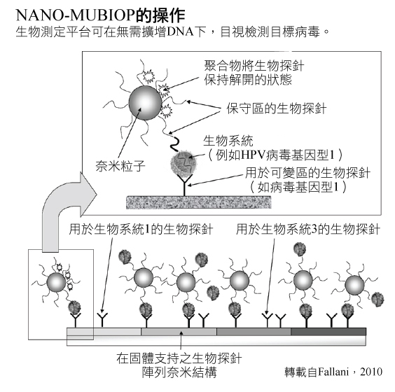 bio-probe array nanstructure on solid support