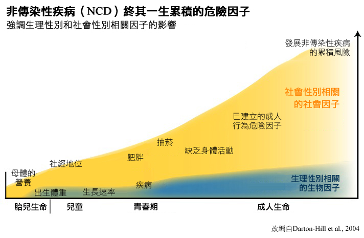 Cumulative Life Course risk factors for Non-communicable Disease (NCD)
