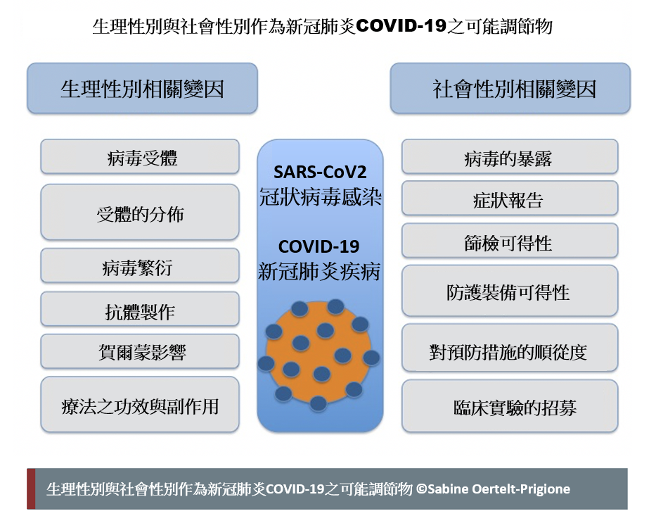 sex and gender as possible modulators of Covid 19